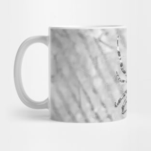 Spider Mug